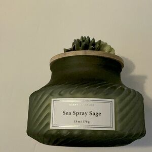 Sea Spray Sage Candle with Cover Green